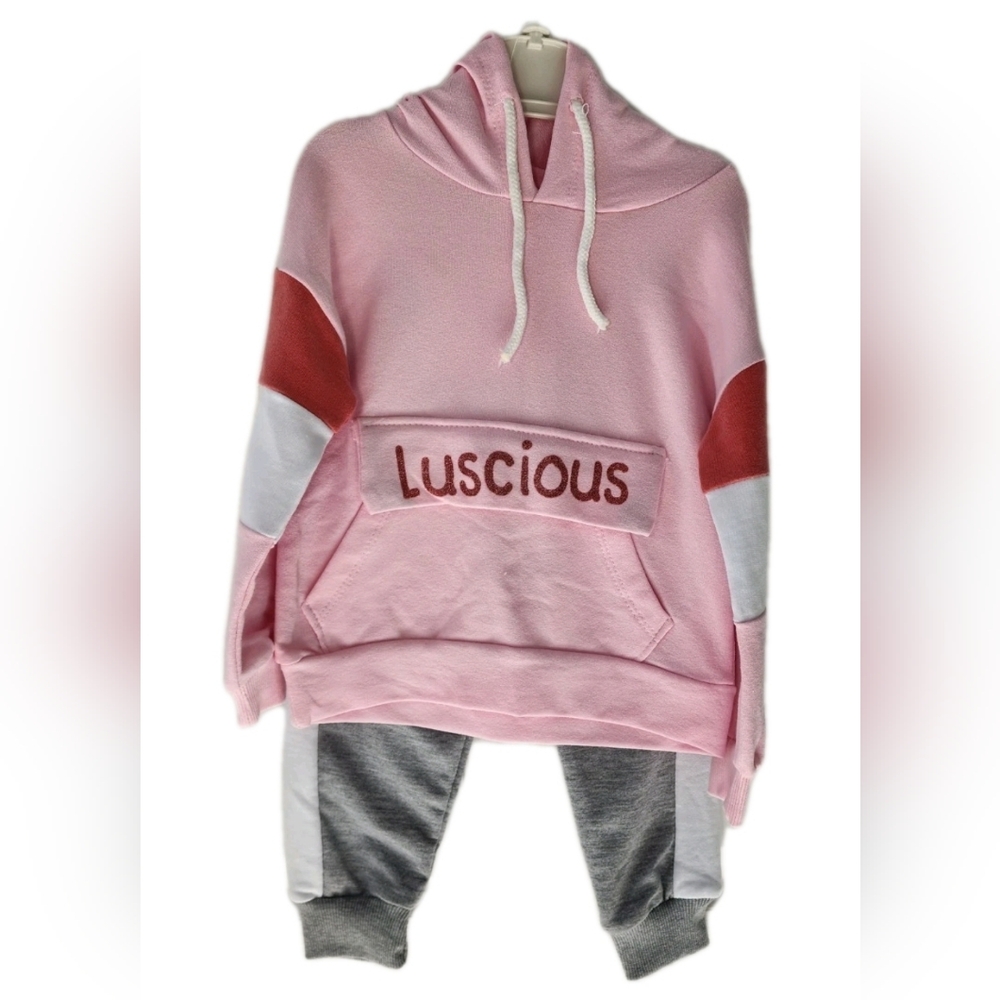 Baby Girl Toddler 2 Pieces Set Hooded Long Sleeve, Pants Size 6-9 & 12-18 Months